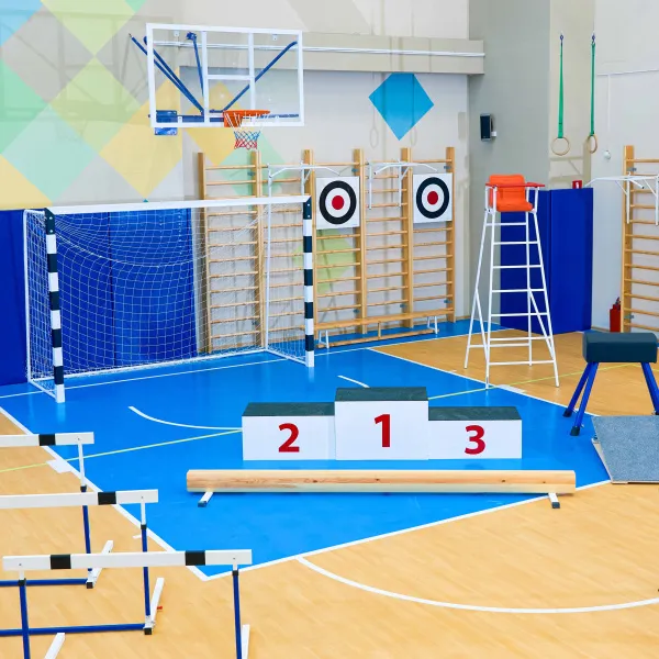 Щит для метания навесной на шведскую стенку (фанера) 700х700 ZAVODSPORTA за 8&nbsp;960 ₽ в Курске